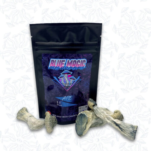 A sealed package of magic mushrooms behind a small pile of dried thin magic mushrooms